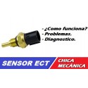 ECT Engine Temperature Sensor - Chica Mecánica