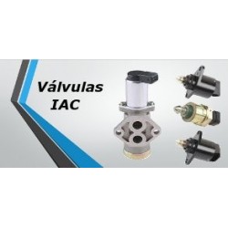 IAC valves