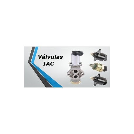 Válvulas IAC